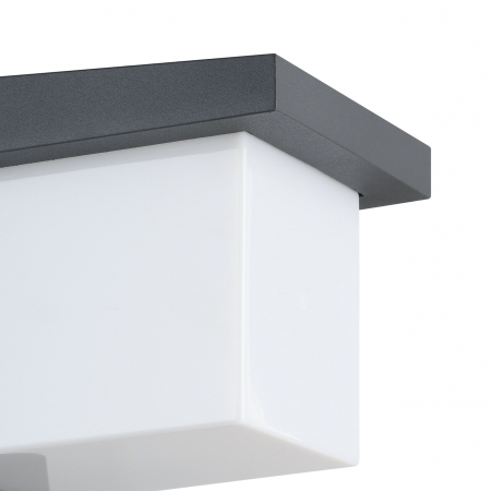 Aplica exterior DESELLA 1 LED 10W lumina calda [2]