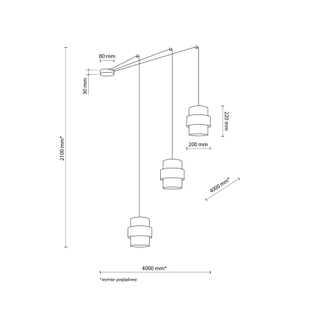 Lampa suspendata CALISTO E27 3 x max 15W LED Negru 400 cm [4]