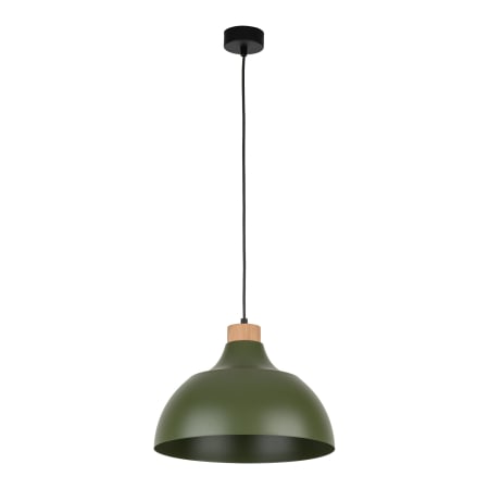Lustre si pendule - Lampa suspendata CAP E27 1 x max 15W LED Verde, Pin 34 cm