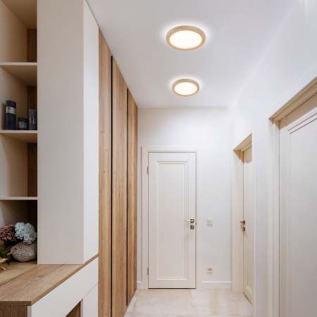 Plafoniera AQUA  1 x max 4W LED  32,5 cm [1]