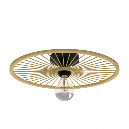 Aplice si plafoniere - Plafoniera LEOMINSTER E27 1X40W