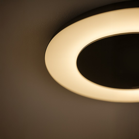 Plafonieră Piattino Negru 30W LED 3000K-4000K-6000K [5]