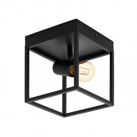 Aplice si plafoniere - Plafoniera SILENTINA E27 1X40W