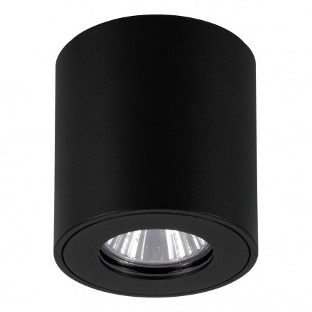 Aplice si plafoniere - Plafoniera baie TORRECOLA GU10 1X5W