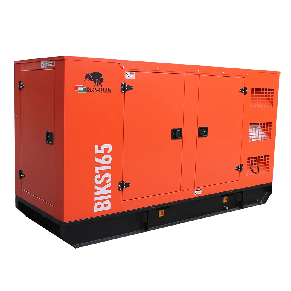Generator de curent Bisonte BIKS165, insonorizat, Pmax=165kVA 400V ATS inclus [5]