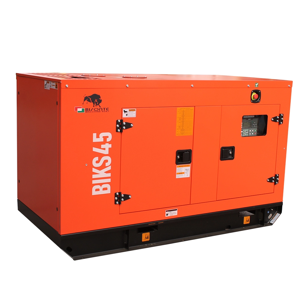 Generator de curent Bisonte BIKS45, insonorizat, Putere maxima 44kVA 400V ATS inclus [5]