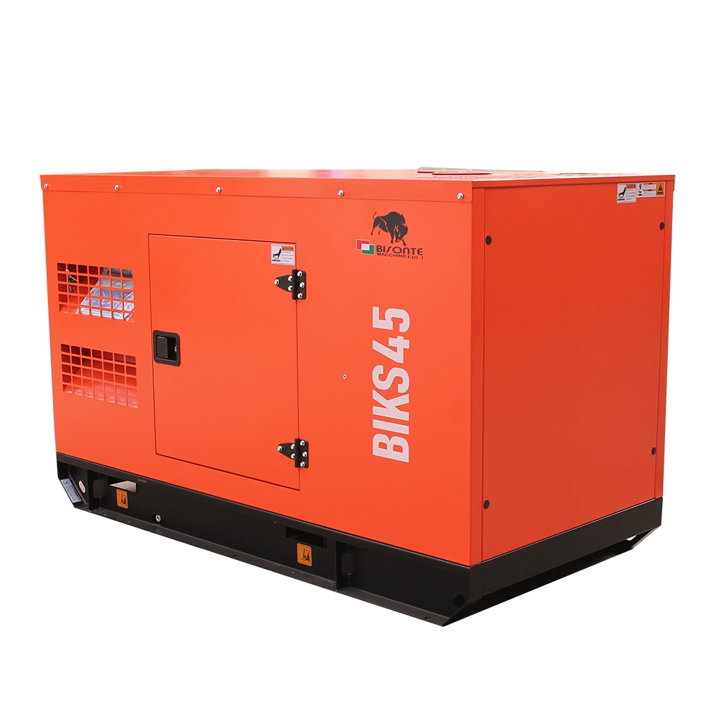 Generator de curent Bisonte BIKS45, insonorizat, Putere maxima 44kVA 400V ATS inclus [4]