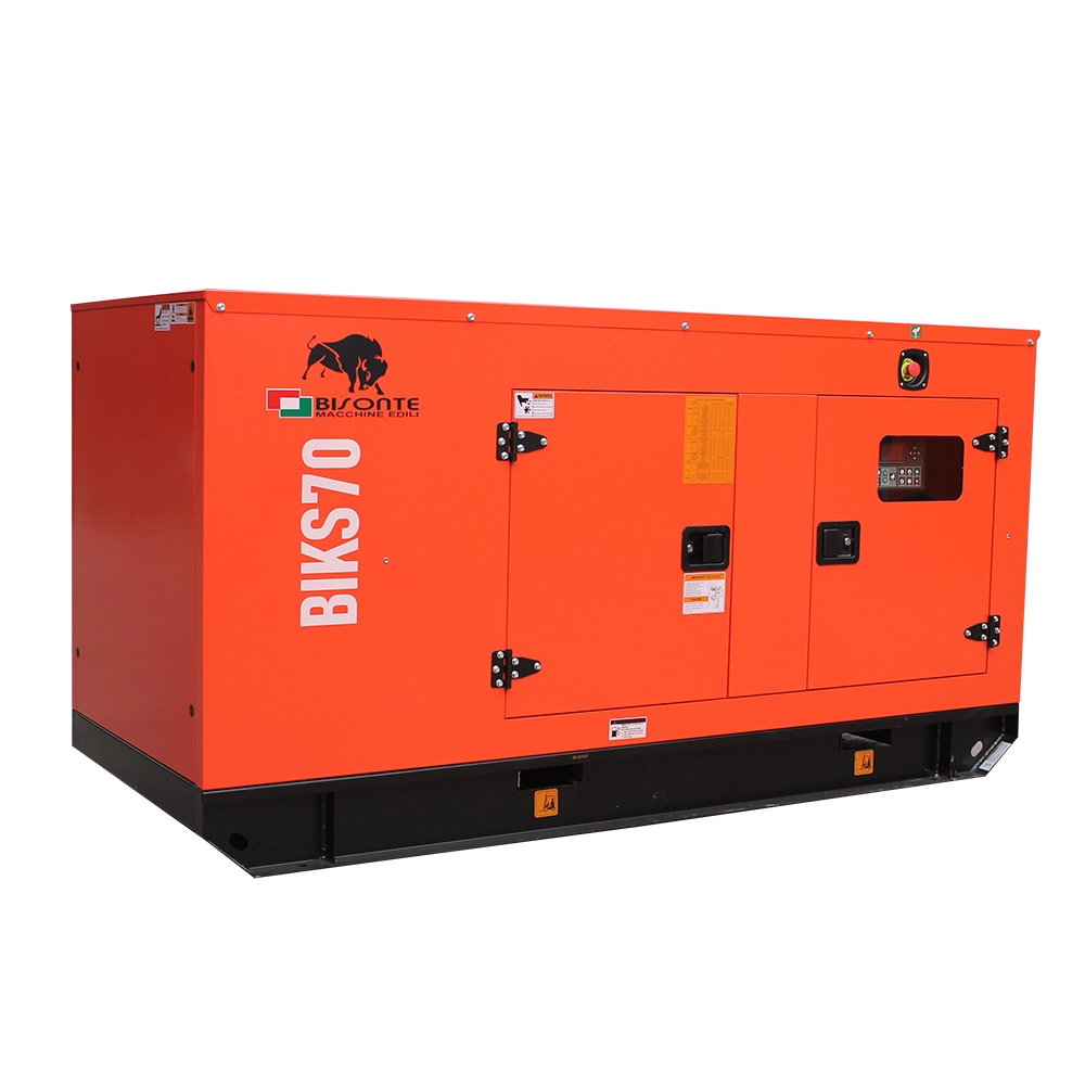 Generator de curent Bisonte BIKS70, insonorizat, Pmax=69kVA 400V ATS inclus [3]
