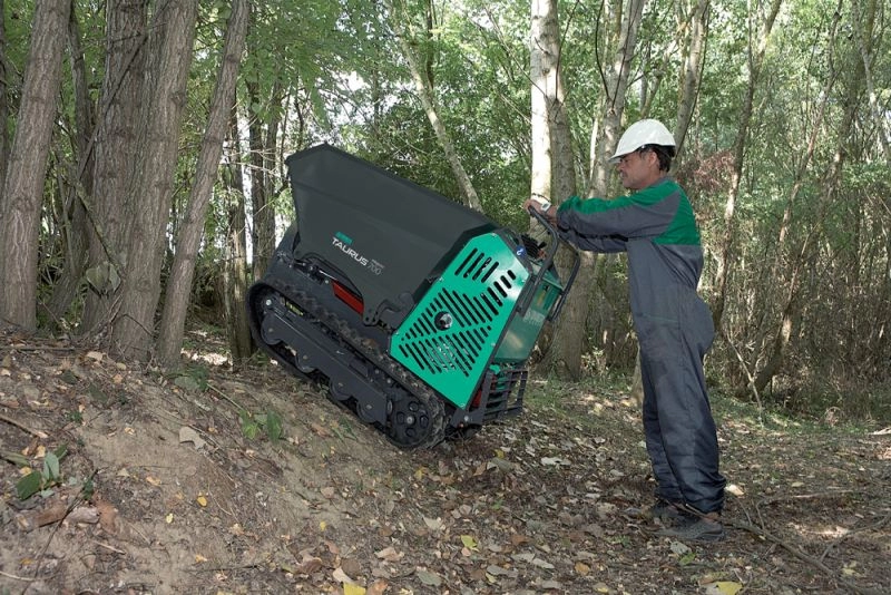 Mini-Dumper IMER Taurus 700CP B8 motor Honda GX270 cu bena de incarcare [6]