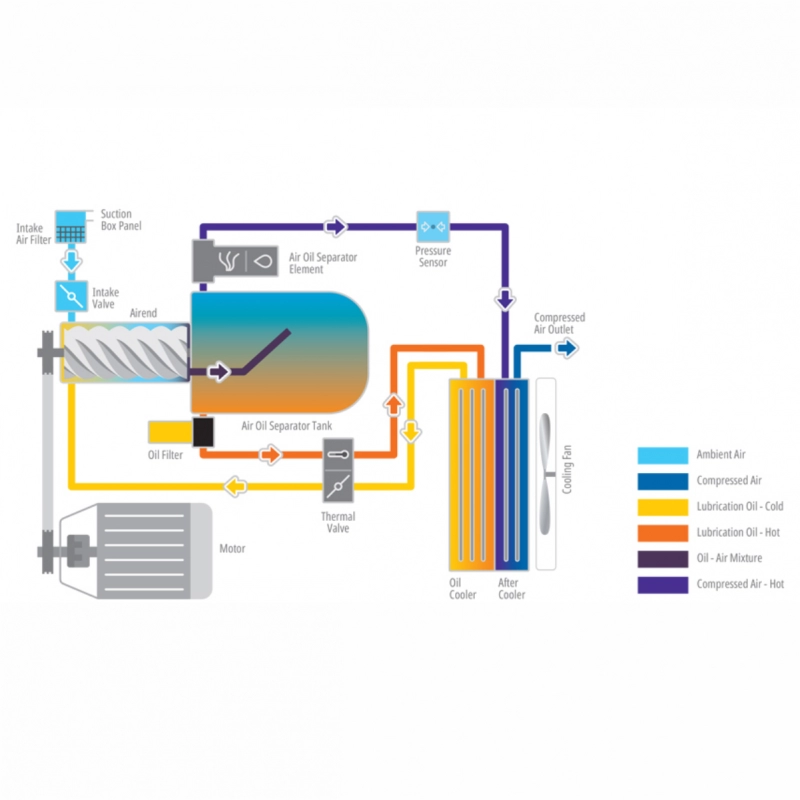 Compresor electric cu surub ELGI EN5-7bar debit 0.74mc/min, uscator si rez.270L inclus, 5.5kW/400V [7]