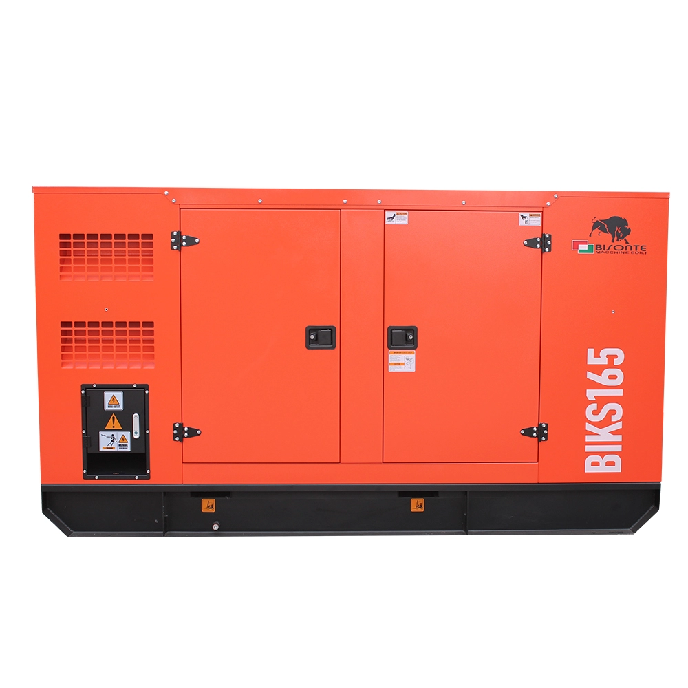  100kw - Generator de curent Bisonte BIKS165, insonorizat, Pmax=165kVA 400V ATS inclus