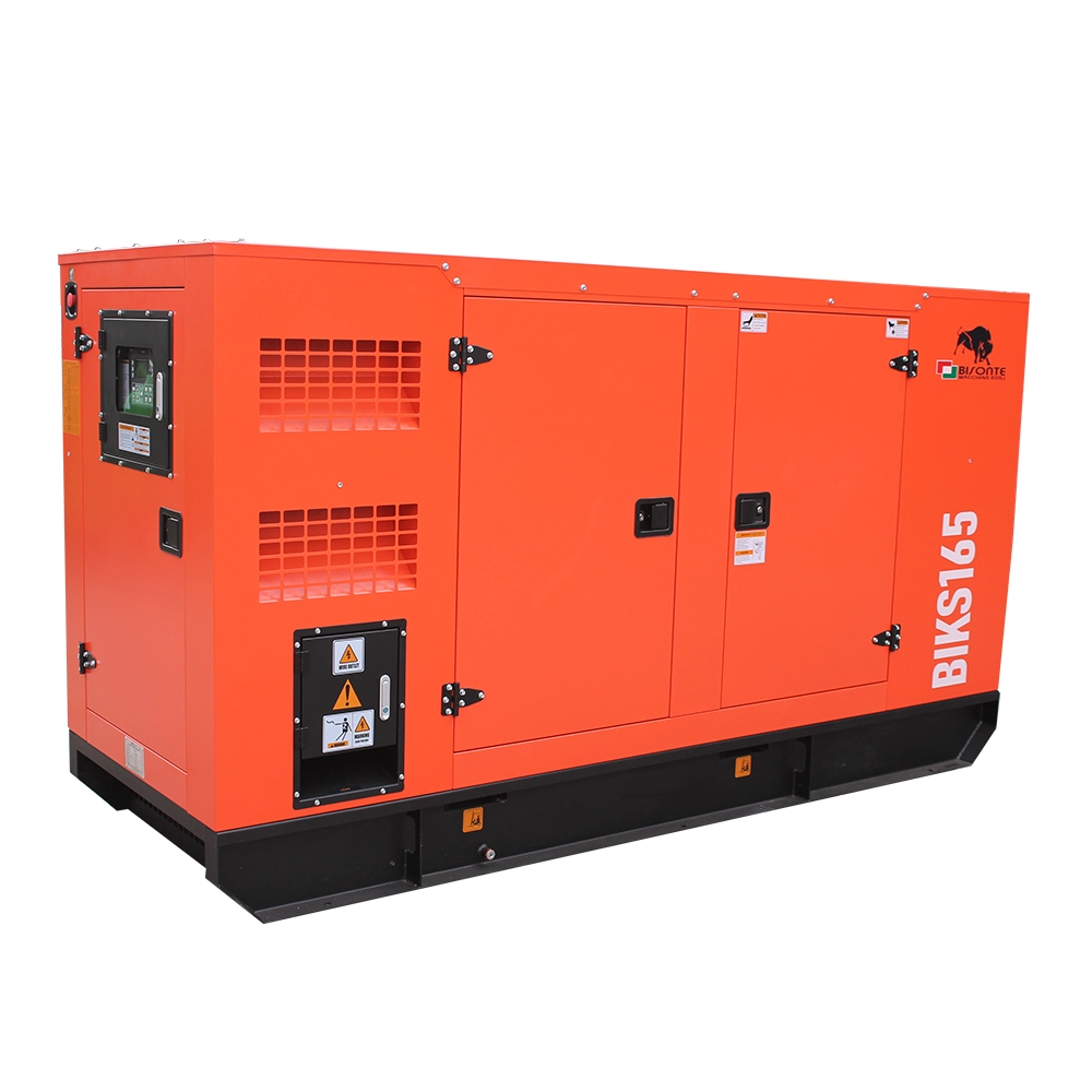 Generator de curent Bisonte BIKS165, insonorizat, Pmax=165kVA 400V ATS inclus [2]