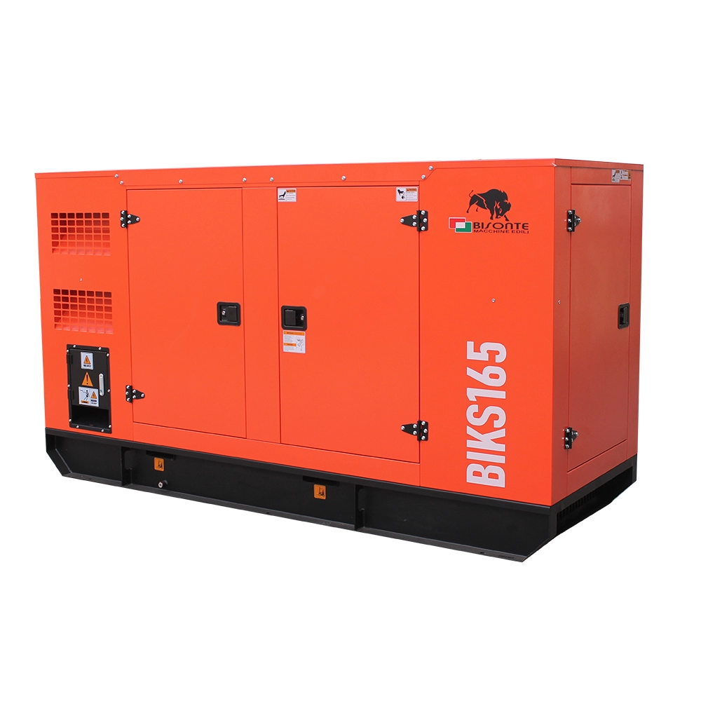 Generator de curent Bisonte BIKS165, insonorizat, Pmax=165kVA 400V ATS inclus [3]