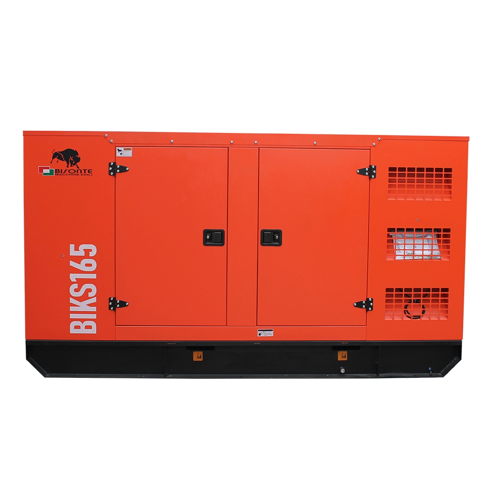 Generator de curent Bisonte BIKS165, insonorizat, Pmax=165kVA 400V ATS inclus [1]
