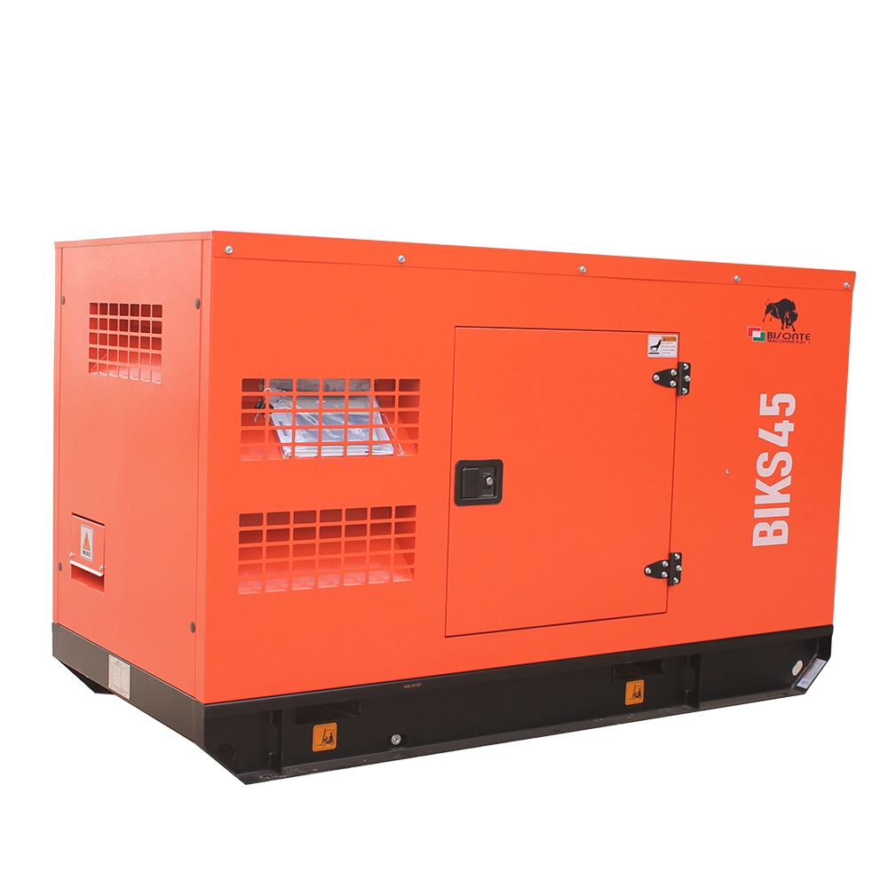 Generator de curent Bisonte BIKS45, insonorizat, Putere maxima 44kVA 400V ATS inclus [2]