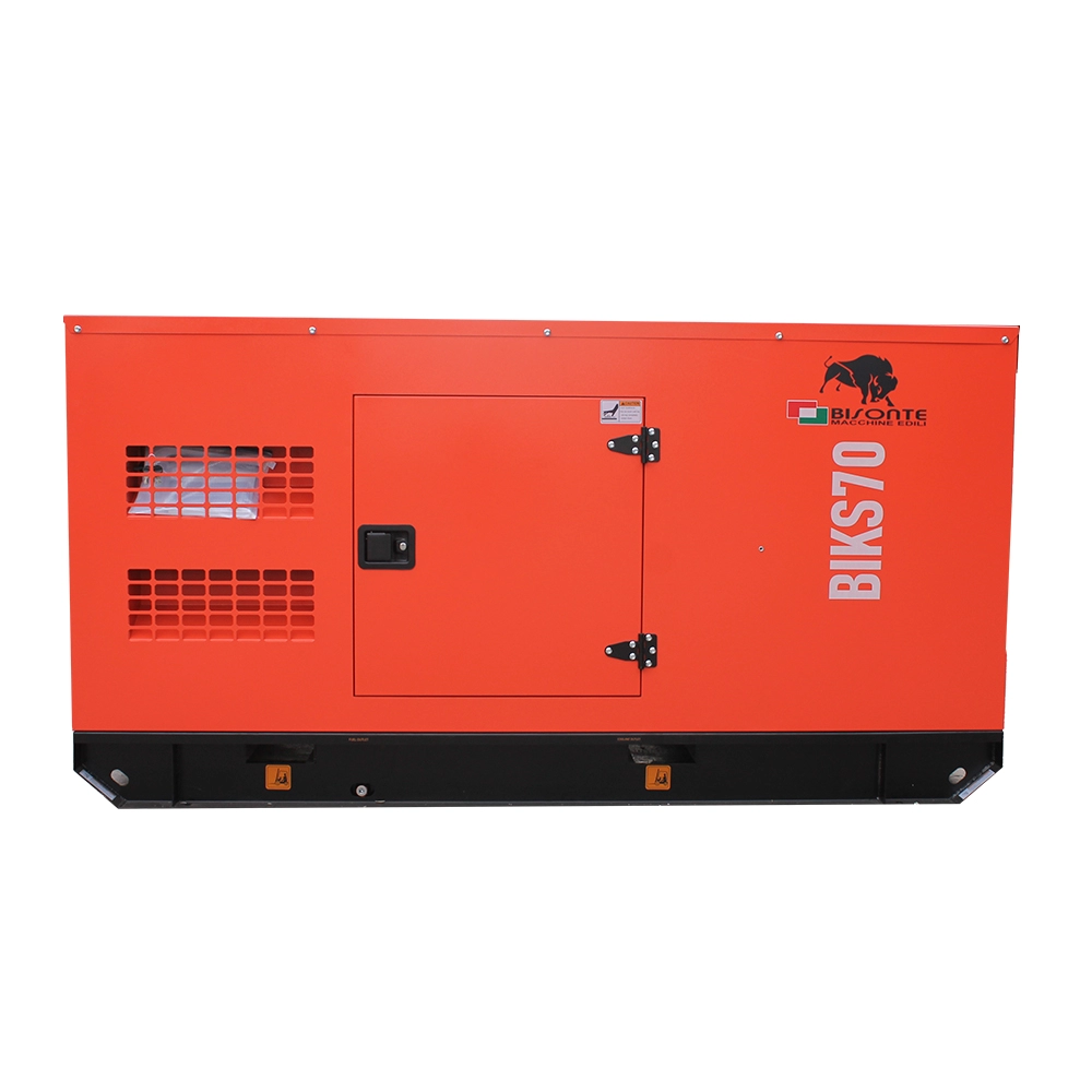 Generator de curent Bisonte BIKS70, insonorizat, Pmax=69kVA 400V ATS inclus [1]