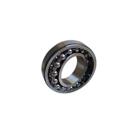 Piese de schimb pentru pompe - Rulment Bile 1209K PX200