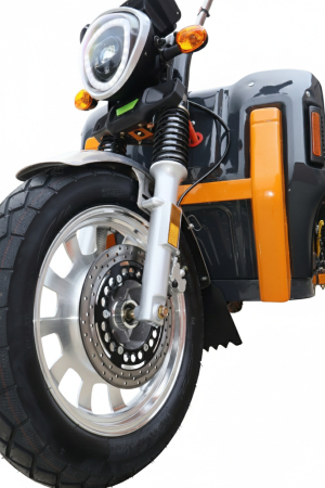 Triciclu Electric Cargo Progarden TRIVO 3000, 25km/h, 72V, 58Ah, incarcator [5]