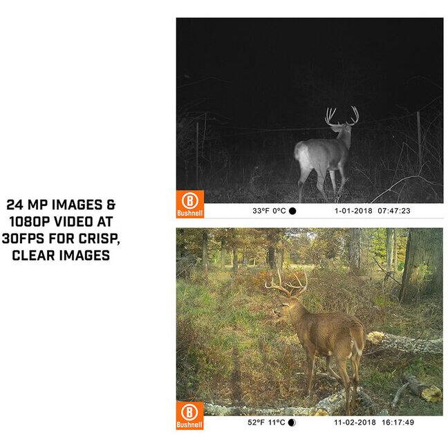 CAMERA VIDEO BUSHNELL 24MP SINGLE CORE BROWN/NO GLOW [4]