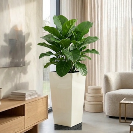 Ghivece flori - Ghiveci decorativ Lamela Finezja cu insert interior, 3 dimensiuni - CREM LUCIOS