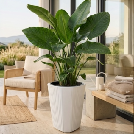 Ghivece flori - Ghiveci decorativ Lamela Muza cu insert interior, 39 x 39 cm - ALB