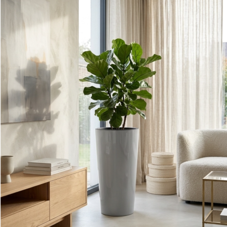 Ghivece flori - Ghiveci decorativ Lamela Lilia 2 in 1, 3 dimensiuni - GRI ANTRACIT lucios