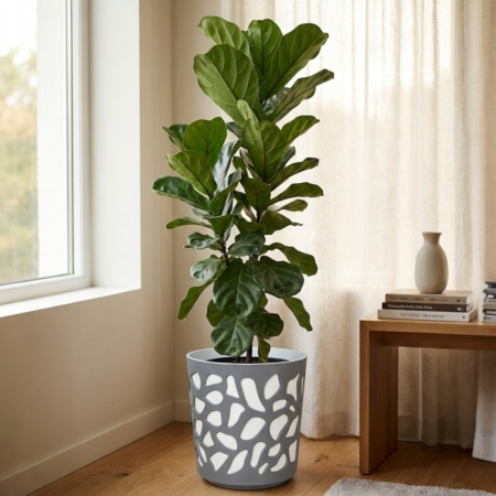 Ghivece flori - Ghiveci Lamela Duet - set planter - Crem cu Antracit