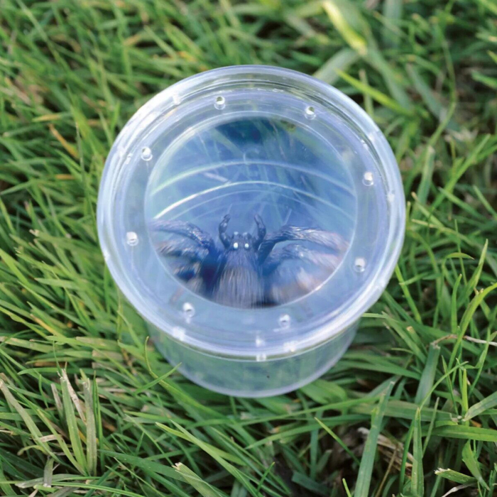 GeoSafari® Borcan pentru observarea insectelor [3]