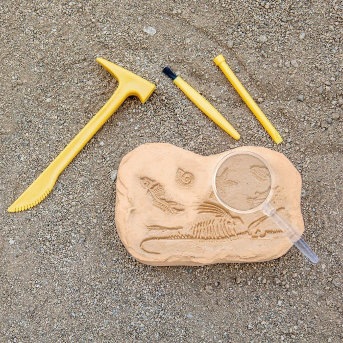 GeoSafari - Kit excavare fosile [5]