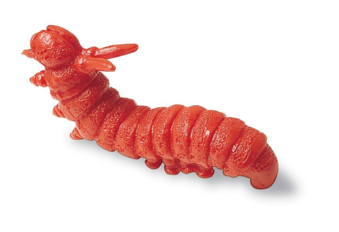 Insecte de gradina pentru numarat - set 72 buc [3]