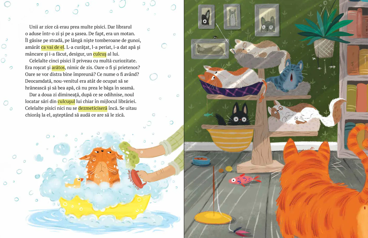 Librăria cu pisici. Motanul care făcea pe șeful [2]