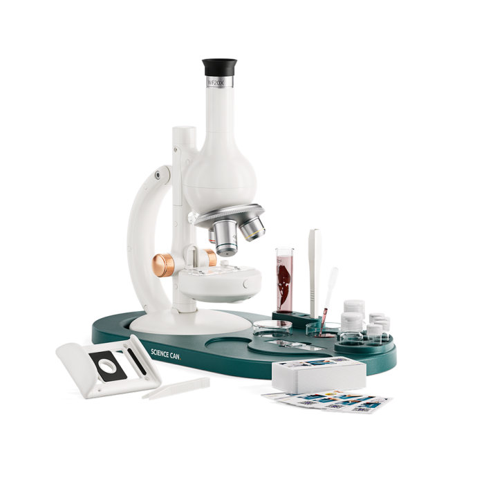 Mini laboratorul meu cu microscop [5]