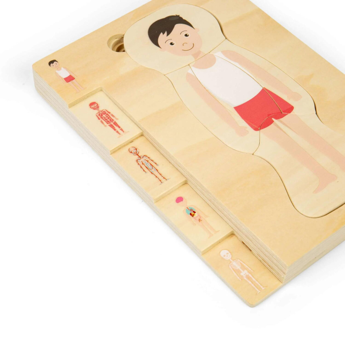 Puzzle anatomic din lemn - Baiat [2]