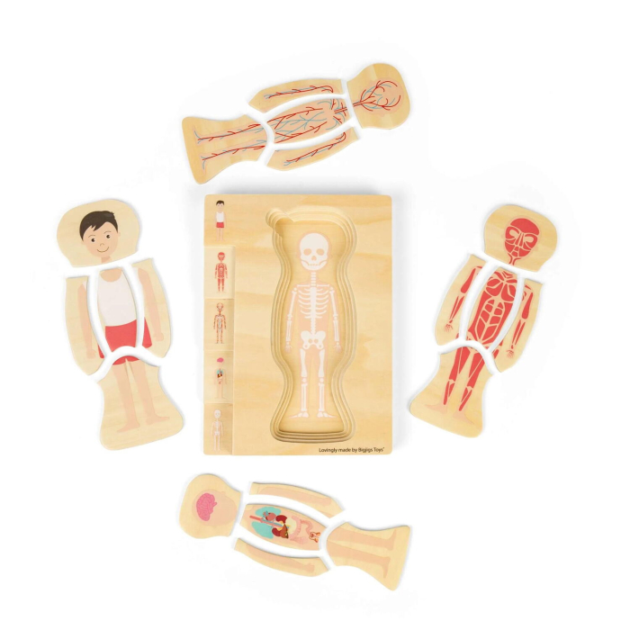 Puzzle anatomic din lemn - Baiat [6]