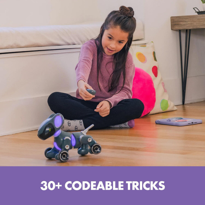 Pyxel - Prietenul programatorului [6]