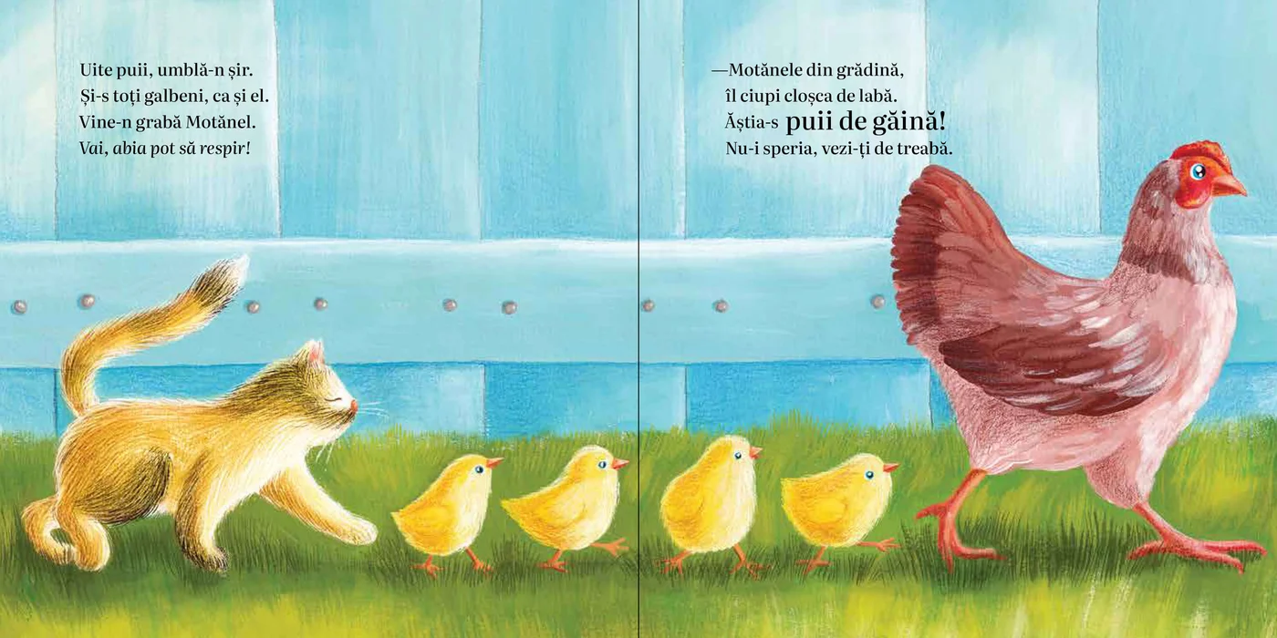 Zuco, un pisoi gălbui [2]