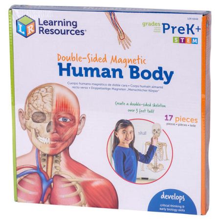 STEM - Corpul uman - set magnetic