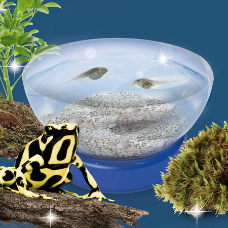 Experimentele micului geniu - Habitate si ecosisteme [2]