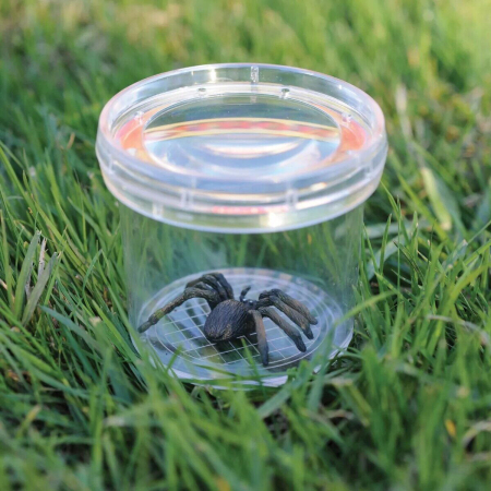 GeoSafari® Borcan pentru observarea insectelor [1]