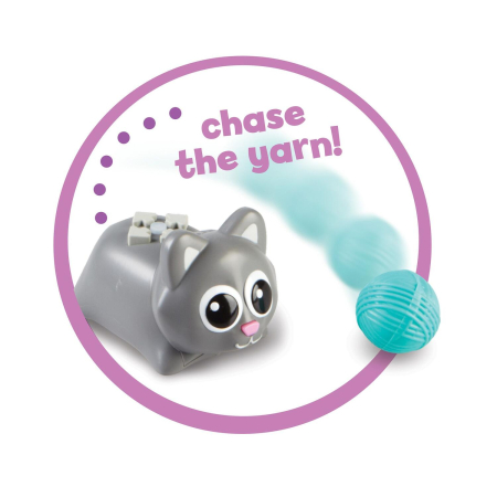 Joc codare - Pisicutele jucause [4]