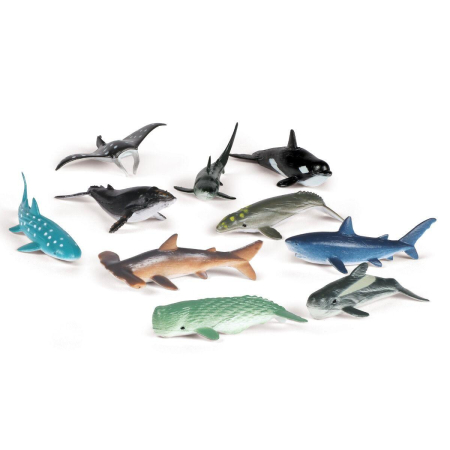 Jocuri matematice - Set de sortat - Animalute din ocean