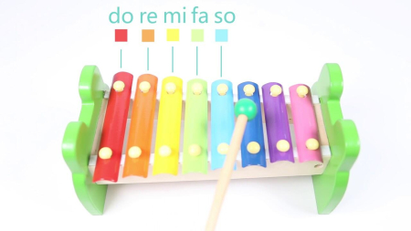 Xilofon din lemn - Broscuta vesela [5]