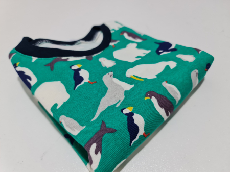 Pijama Bebe Arctic Verde Bumbac [2]