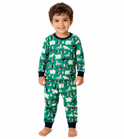 COPII - Pijama Bebe Arctic Verde Bumbac