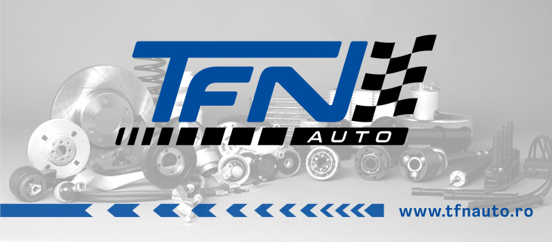 TFN AUTO SRL