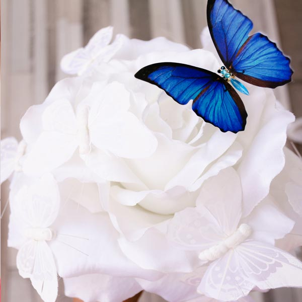 Trandafir gigant alb cu fluturi [1]