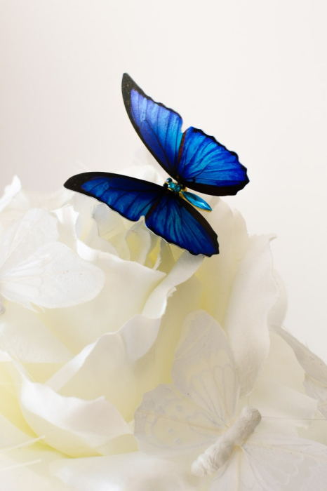 Trandafir gigant alb cu fluturi [4]