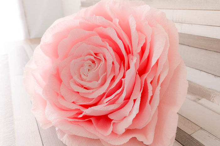 Trandafir gigant roz pastel [3]