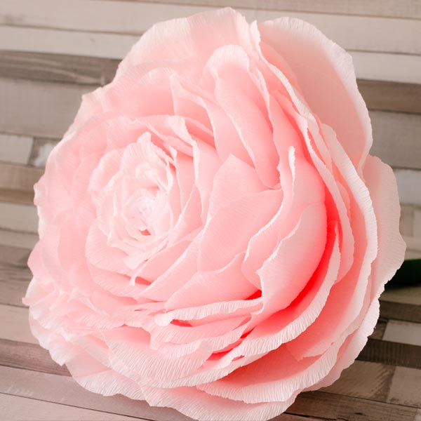 Trandafir gigant roz pastel [1]