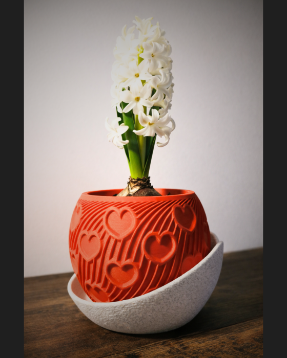 Cuore - ghiveci plante mici [5]